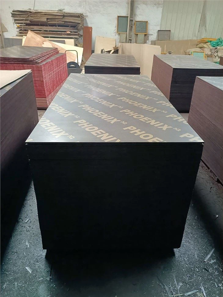 18 мм фанера з плівковою плівкою з тополі