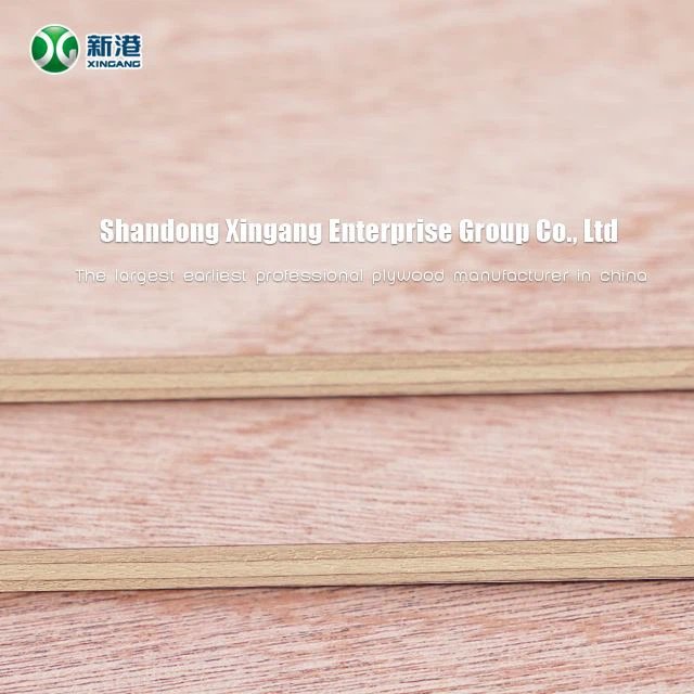 3mm 5mm 9mm Oak Walnut Veneer Plywood Sapele Plywood Commercial Plywood