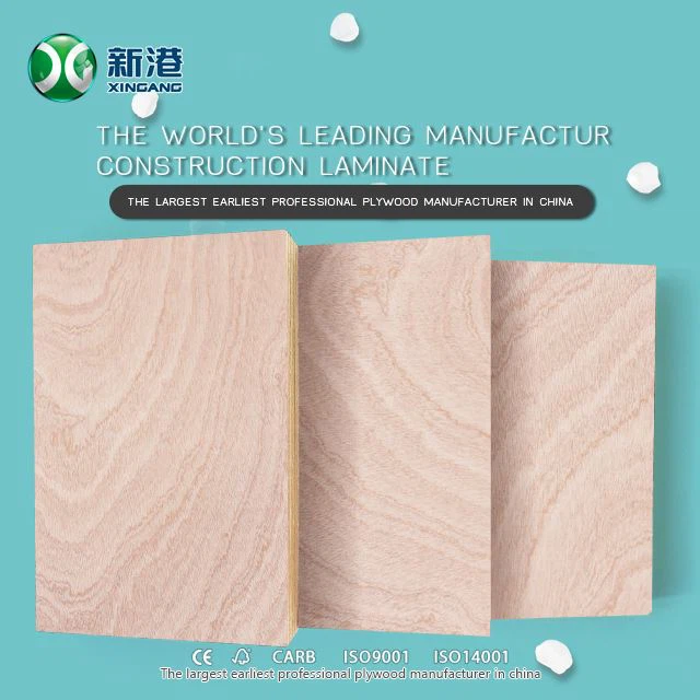 9mm 12mm 15mm 18mm Faced Okoume Plywood Bintangor Plywood Hardwood Plywood