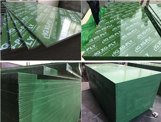 Green/Blue Plastic Film Coated Plywood