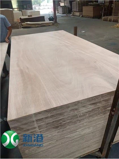 9мм 12мм 15мм 18мм 21мм Фанера найвищої якості для меблів або будівництва Листяна деревина Тополя Береза ​​Фанера