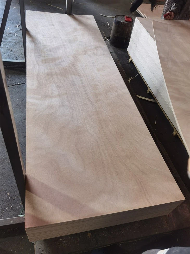 12mm Bintangor/Okoume Plywood