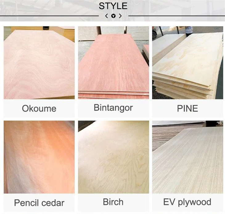 18mm CDX Pine Plywood